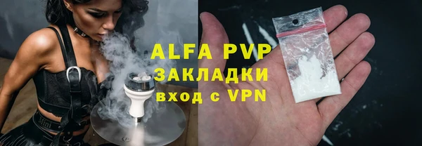 крисы Кодинск