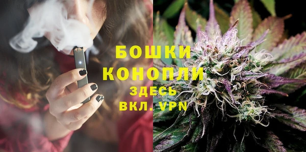 spice Козловка