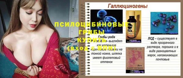 крисы Кодинск