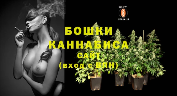 spice Козловка
