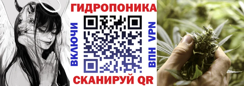 Купить где  Аркадак  Бошки Шишки THC 21% 